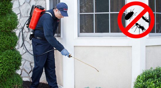 Çüngüş Böcek İlaçlama böcek ilaçlama ve haşere kontrolü — ilaclama-tr.com